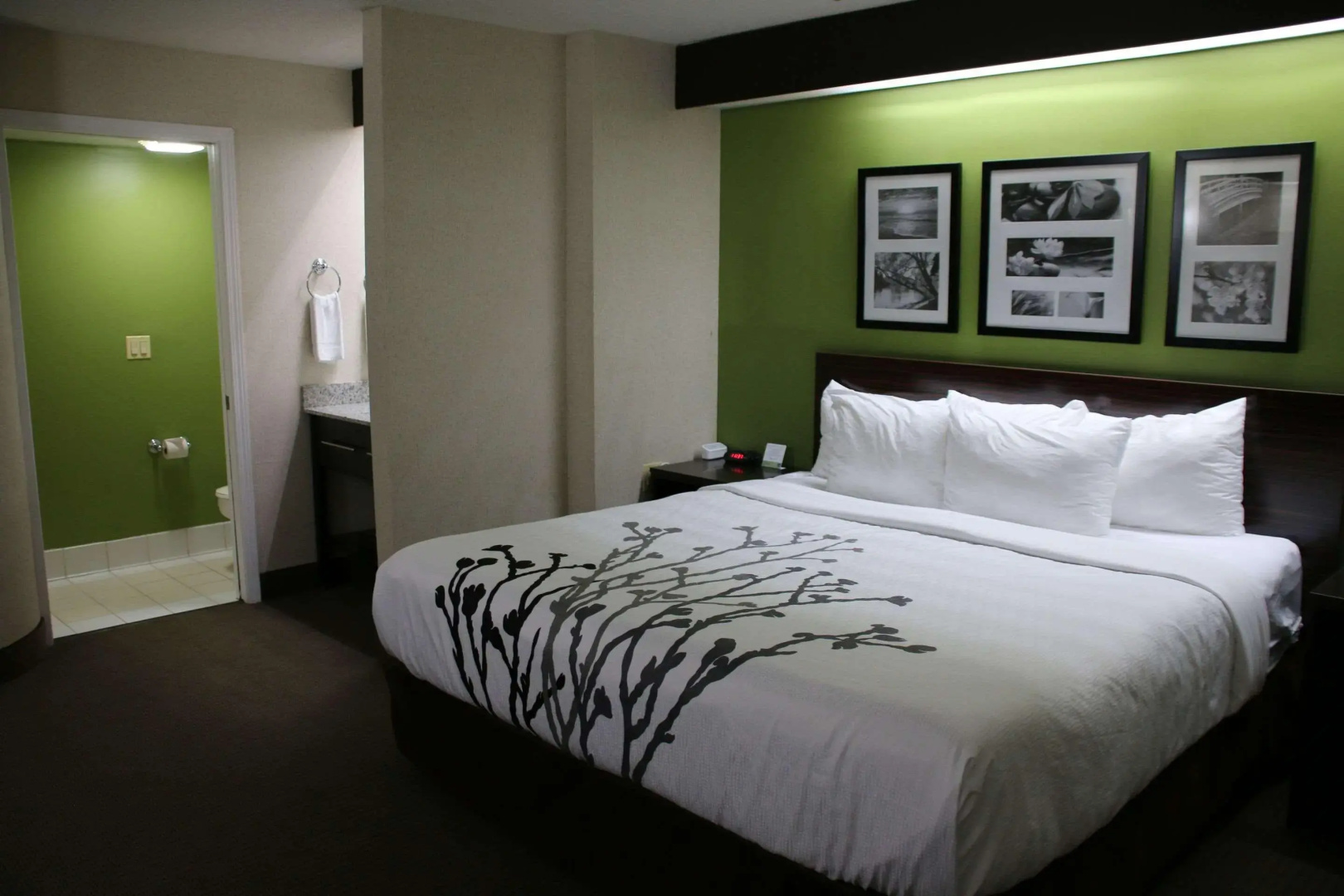 Foto - Sleep Inn near Great Lakes Naval Base