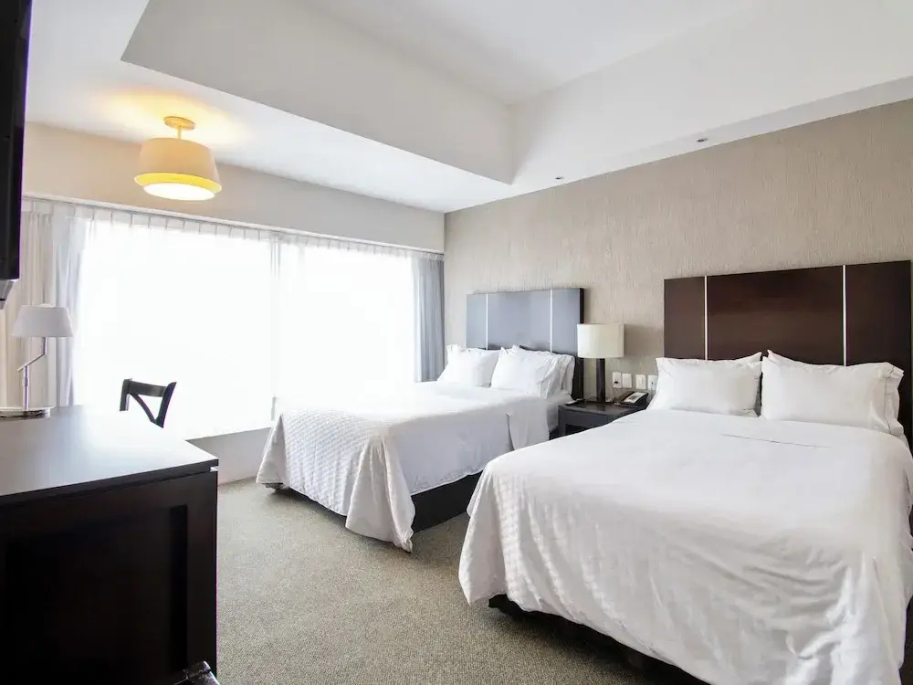 Foto - Hotel Plaza Génova Centro