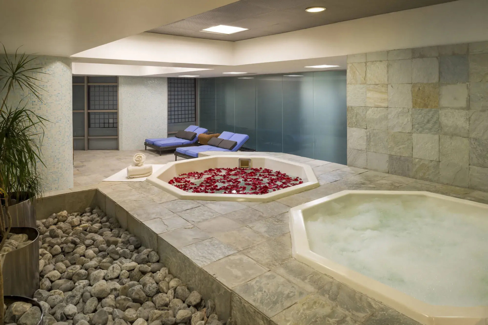 Foto - Barceló México Santa Fe