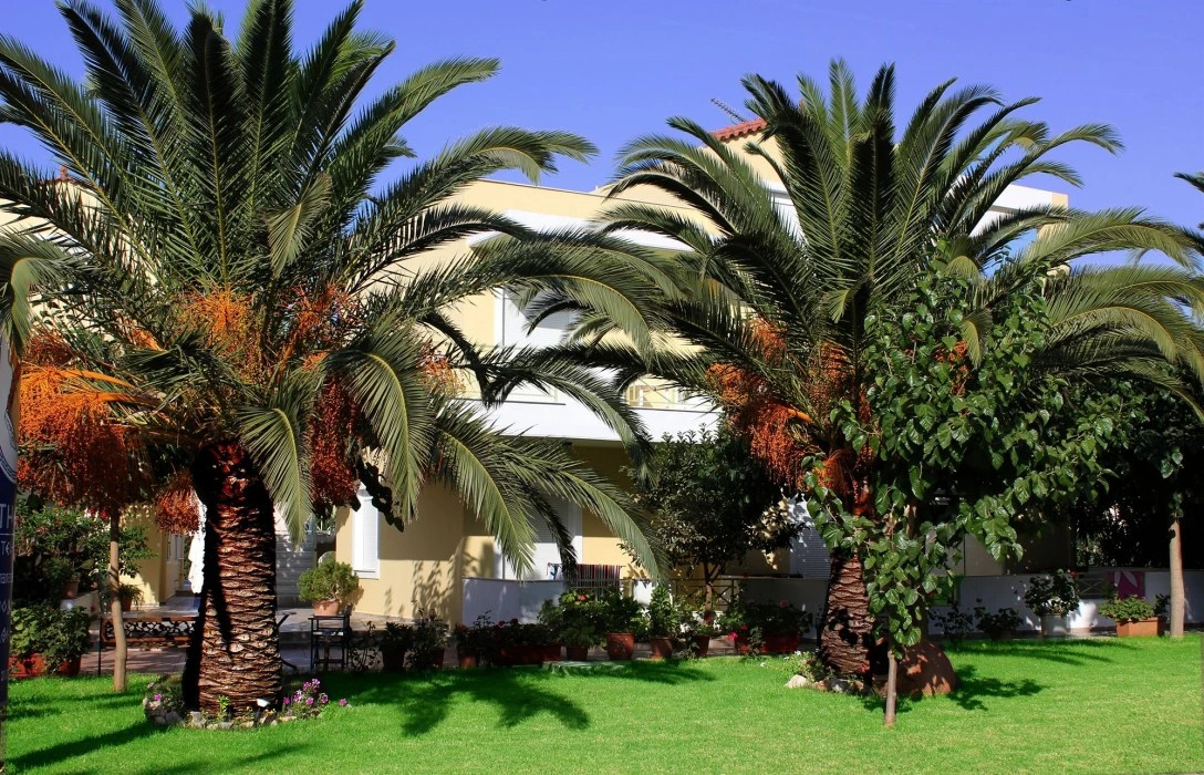 Foto - Hotel Athena