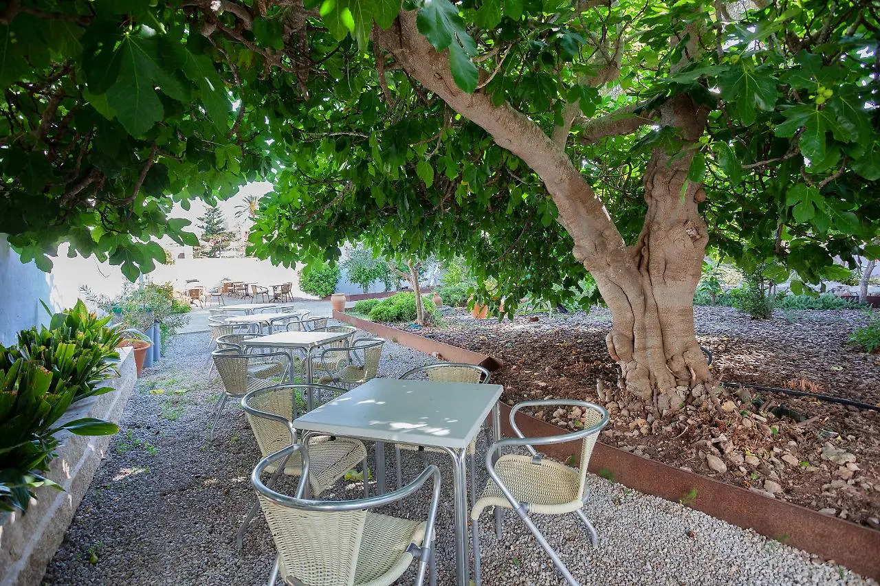 Foto - Petit Garden Hotel by Flacalco