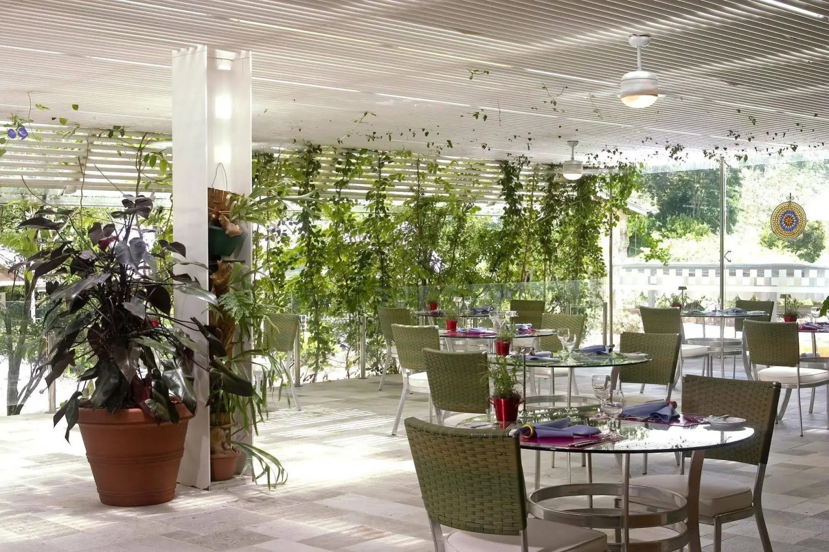 Photo - Unique Garden