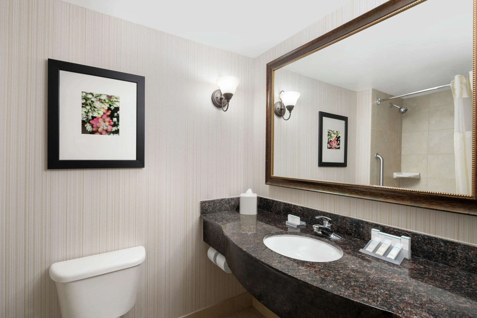 Foto - Hilton Garden Inn Denver/Highlands Ranch