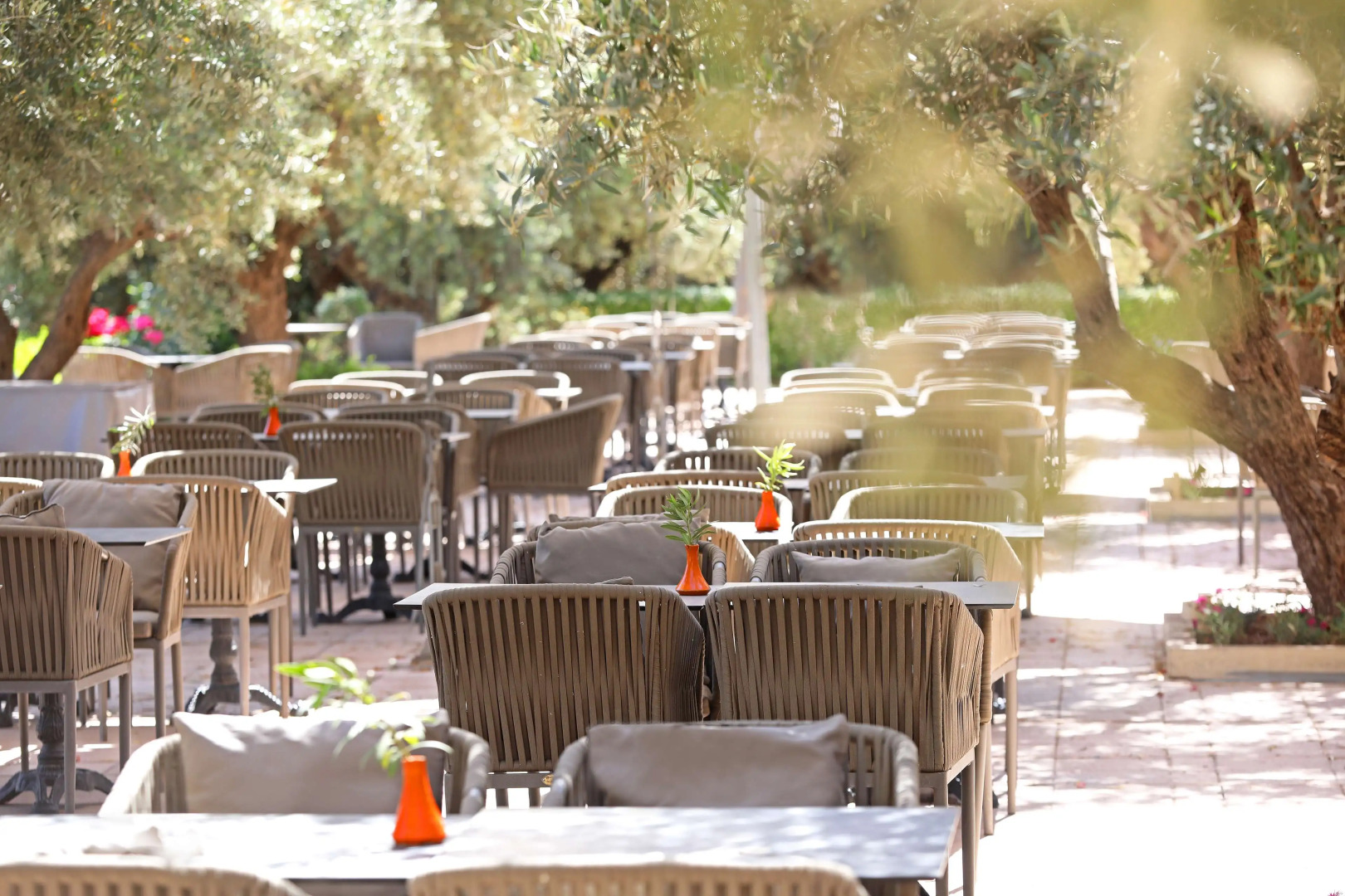 Foto - Kenzi Club Agdal Medina - All Inclusive