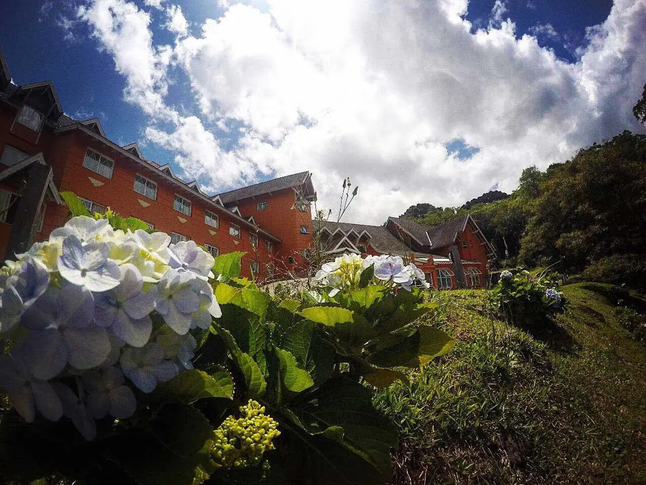 Photo - Hotel Renascença
