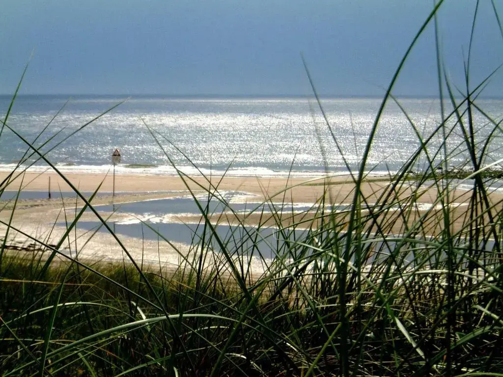 Foto - Leonardo Hotel IJmuiden Seaport Beach