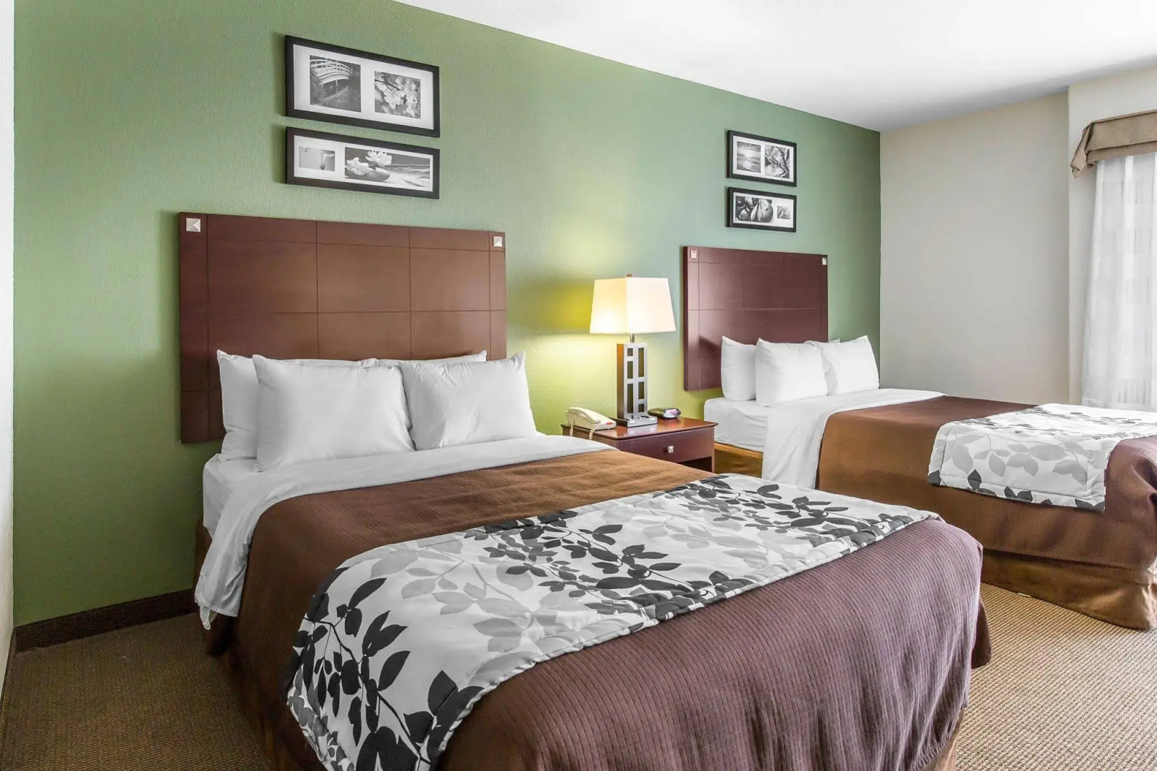 Foto - Sleep Inn & Suites Bush Intercontinental - IAH East