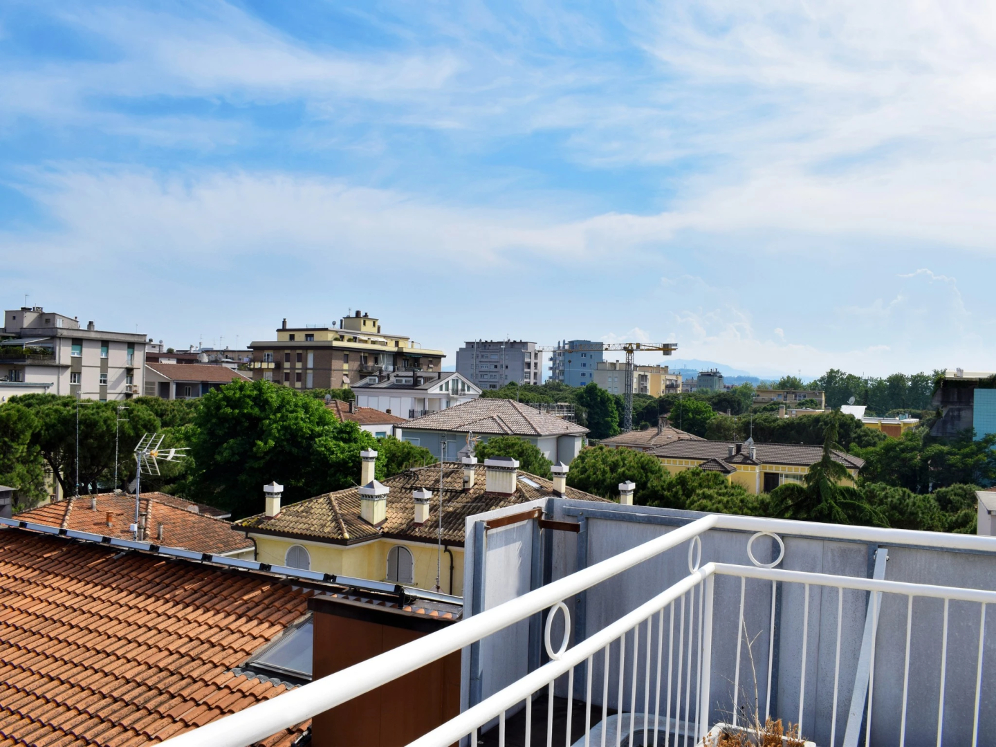 Foto - Hotel Bamby