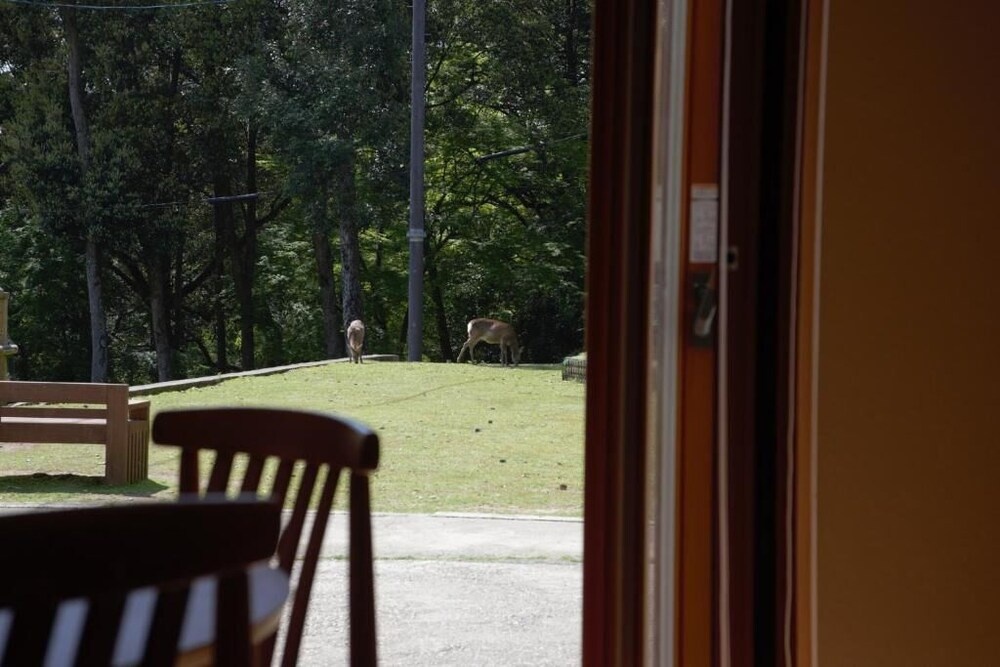 Foto - Mountain Home Lodge in Deer Park