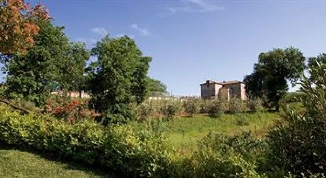 Foto - Tenuta D'Amore