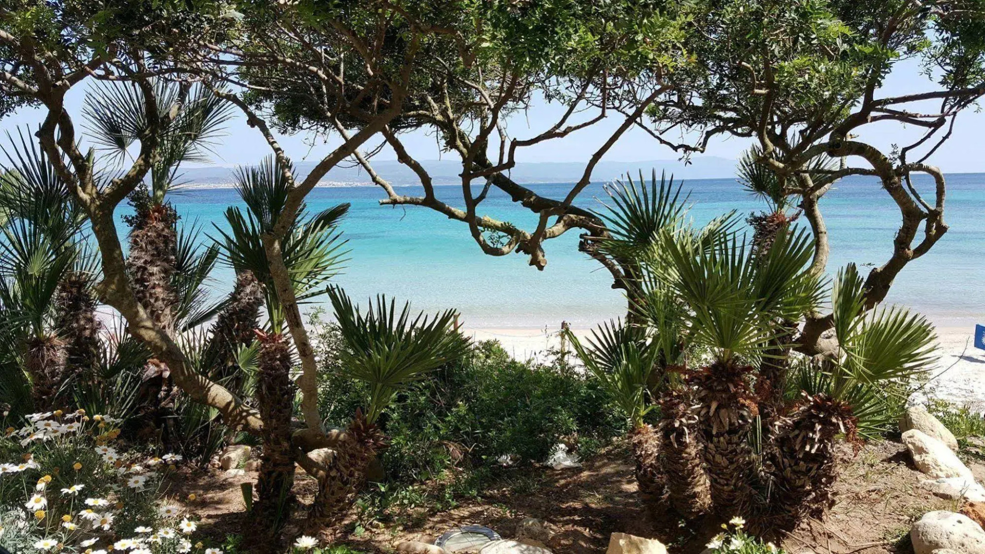 Photo - Camping Village Laguna Blu