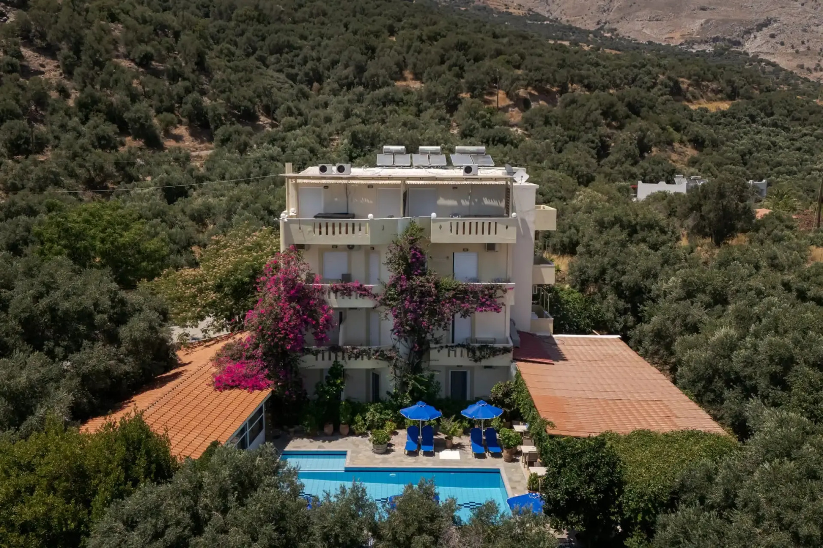 Foto - Sunrise Hotel & Apartments