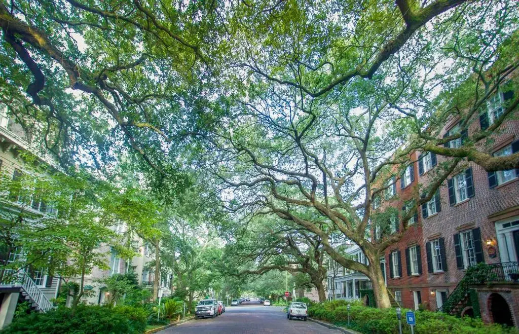 Photo - Hilton Garden Inn Savannah Historic District