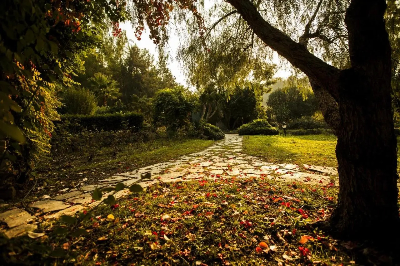 Photo - Beso Hotel Berke Ranch