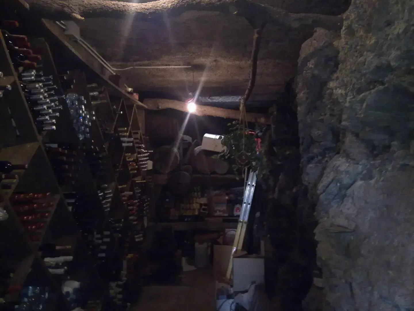 Foto - Hotel Terralta