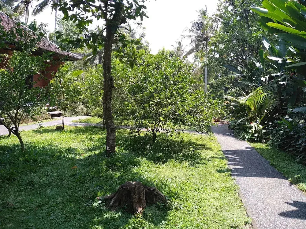 Photo - Sanga Suites