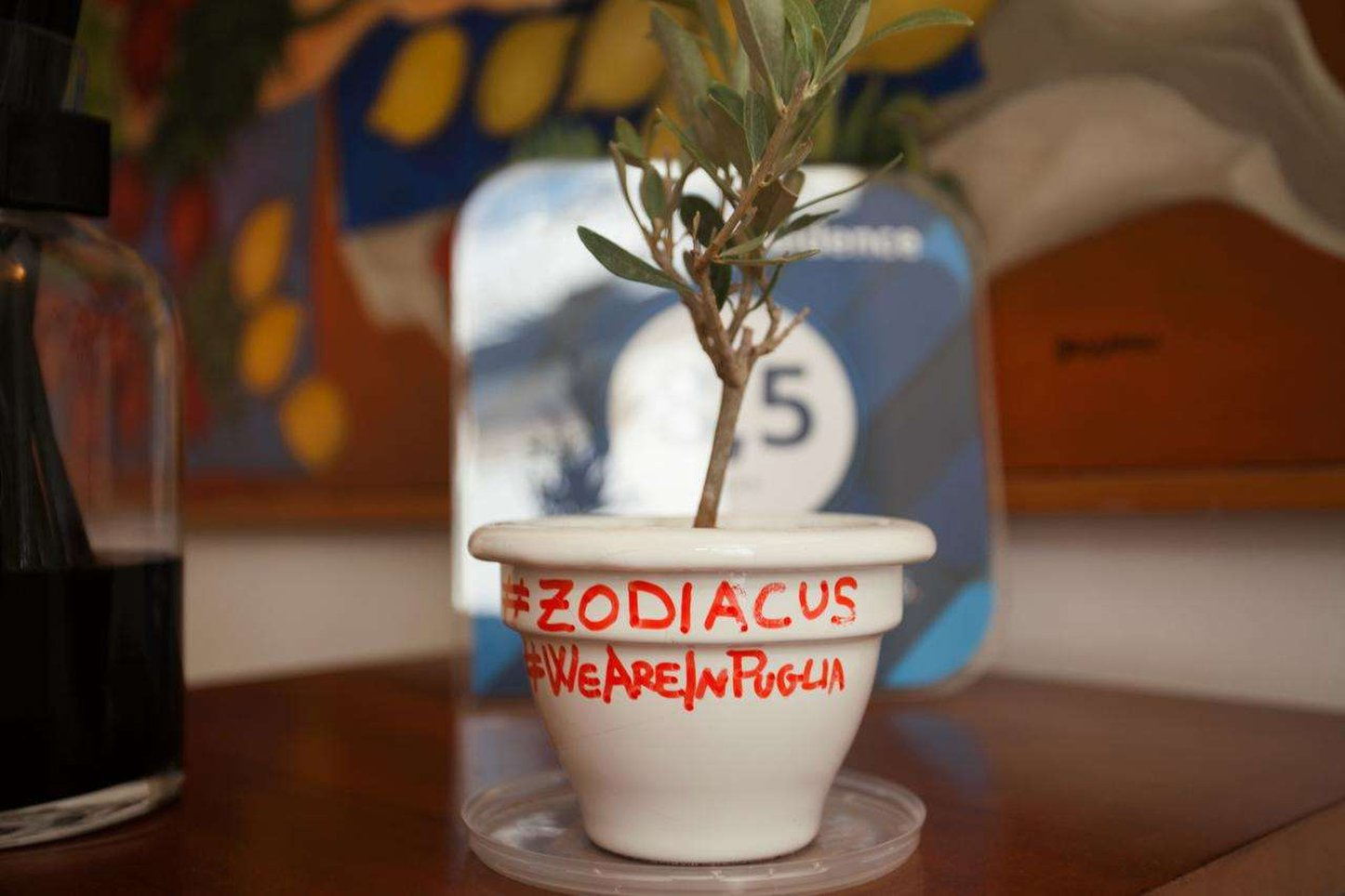 Foto - Zodiacus
