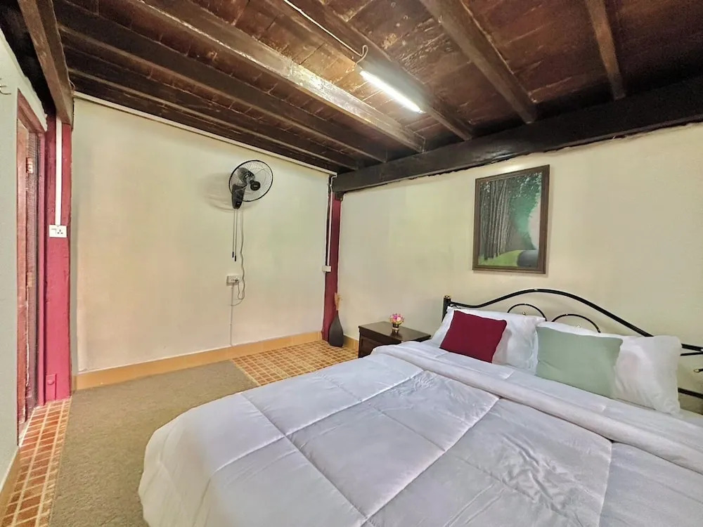 Foto - Cozy Nest CNX