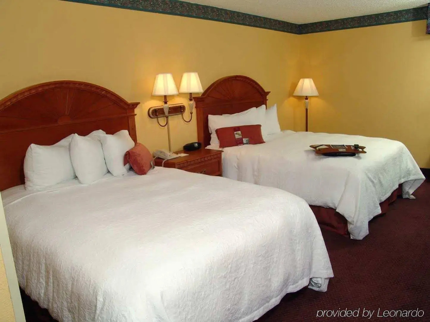 Photo - Orlando Palms