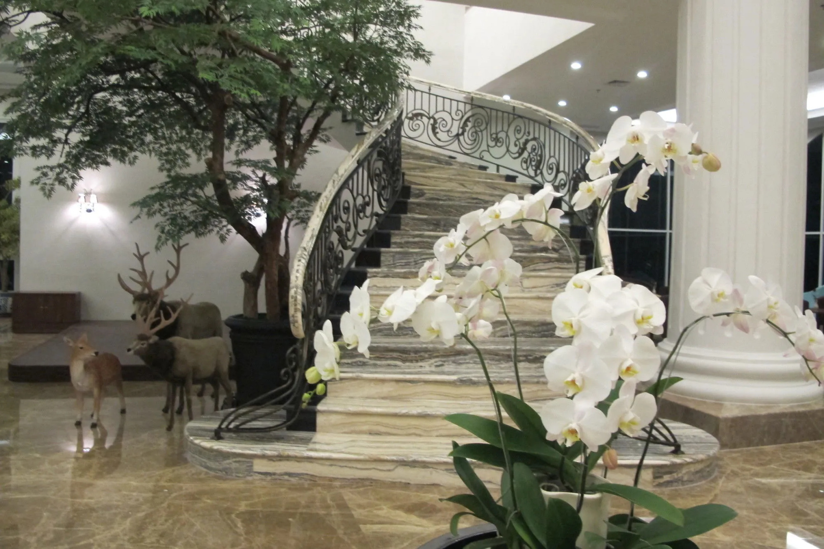 Foto - The Sahira Hotel Syariah