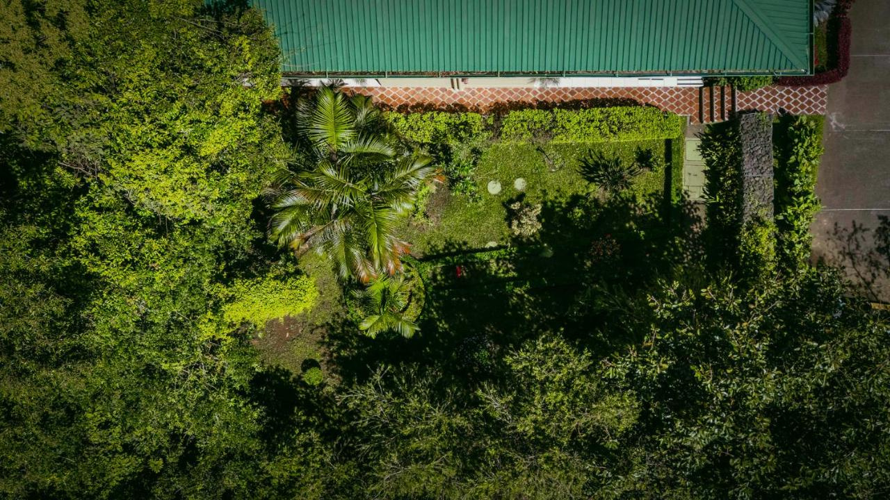 Foto - Ficus Sunset Suites