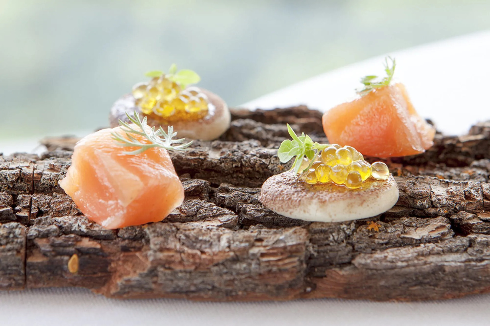 Foto - HOTEL & SPA El Castell de Ciutat