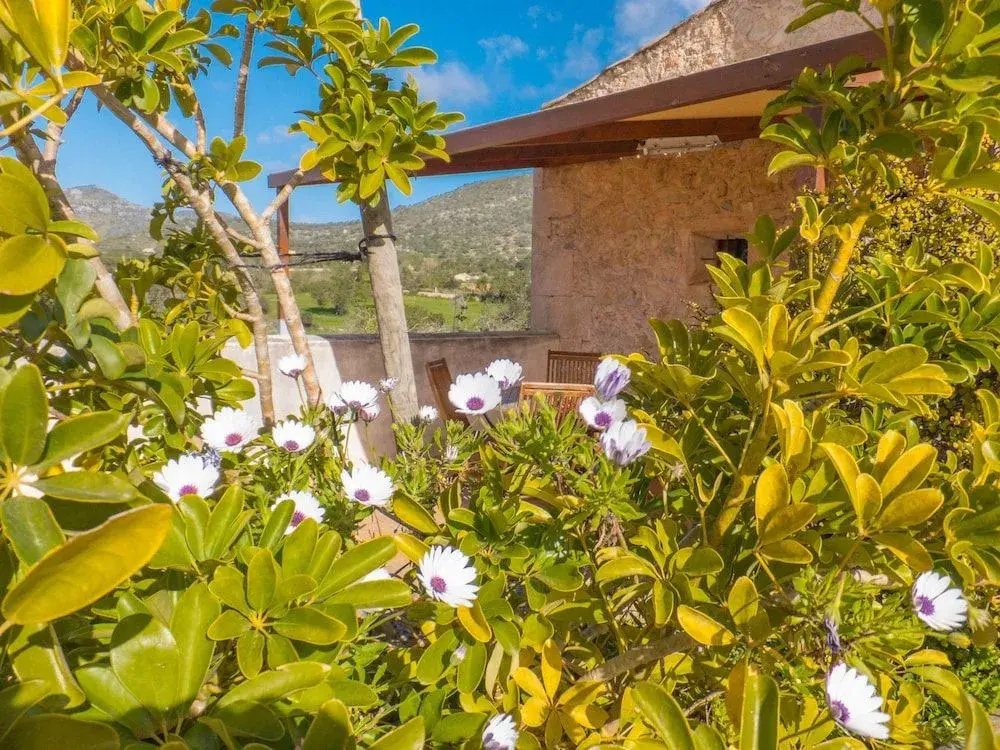 Photo - Finca Ses Cases Noves