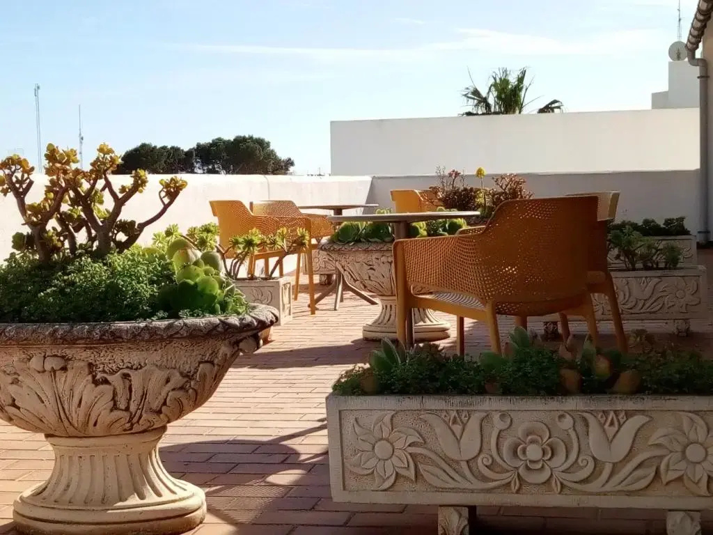 Photo - Hotel Ses Puntetes