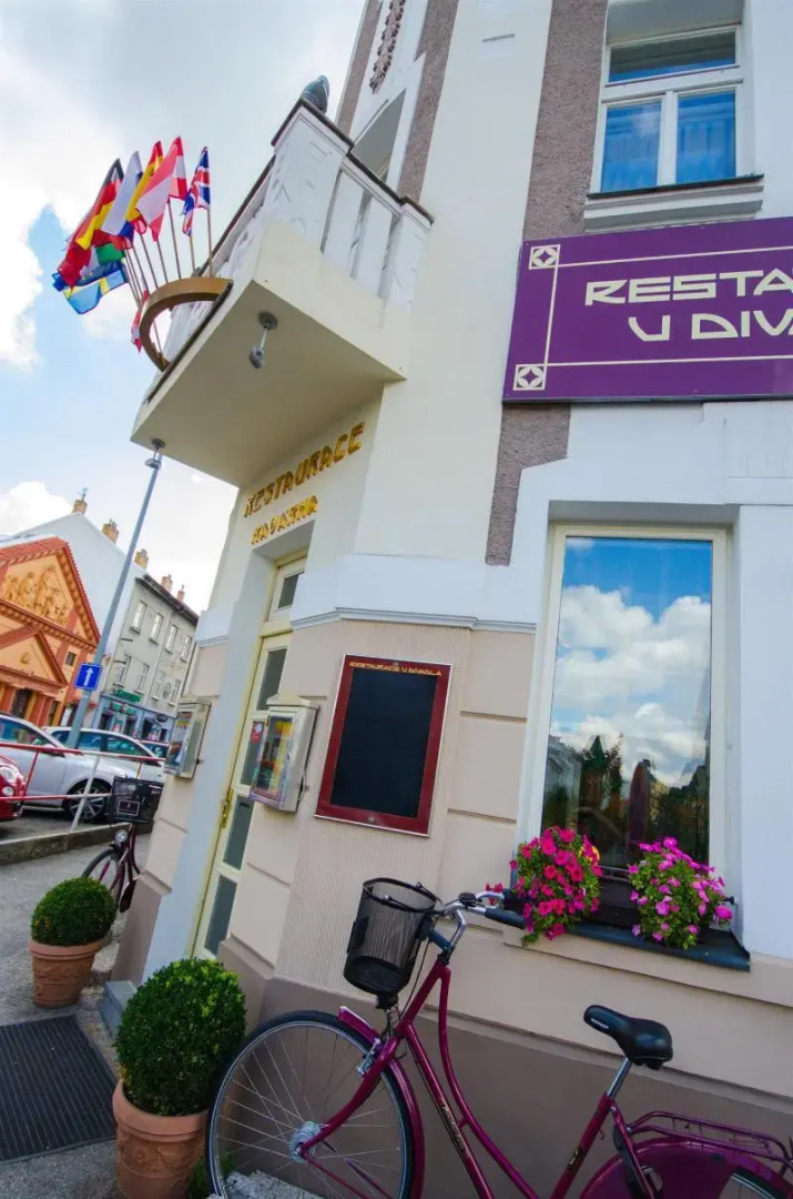 Foto - Hotel U Divadla - Czech Leading Hotels