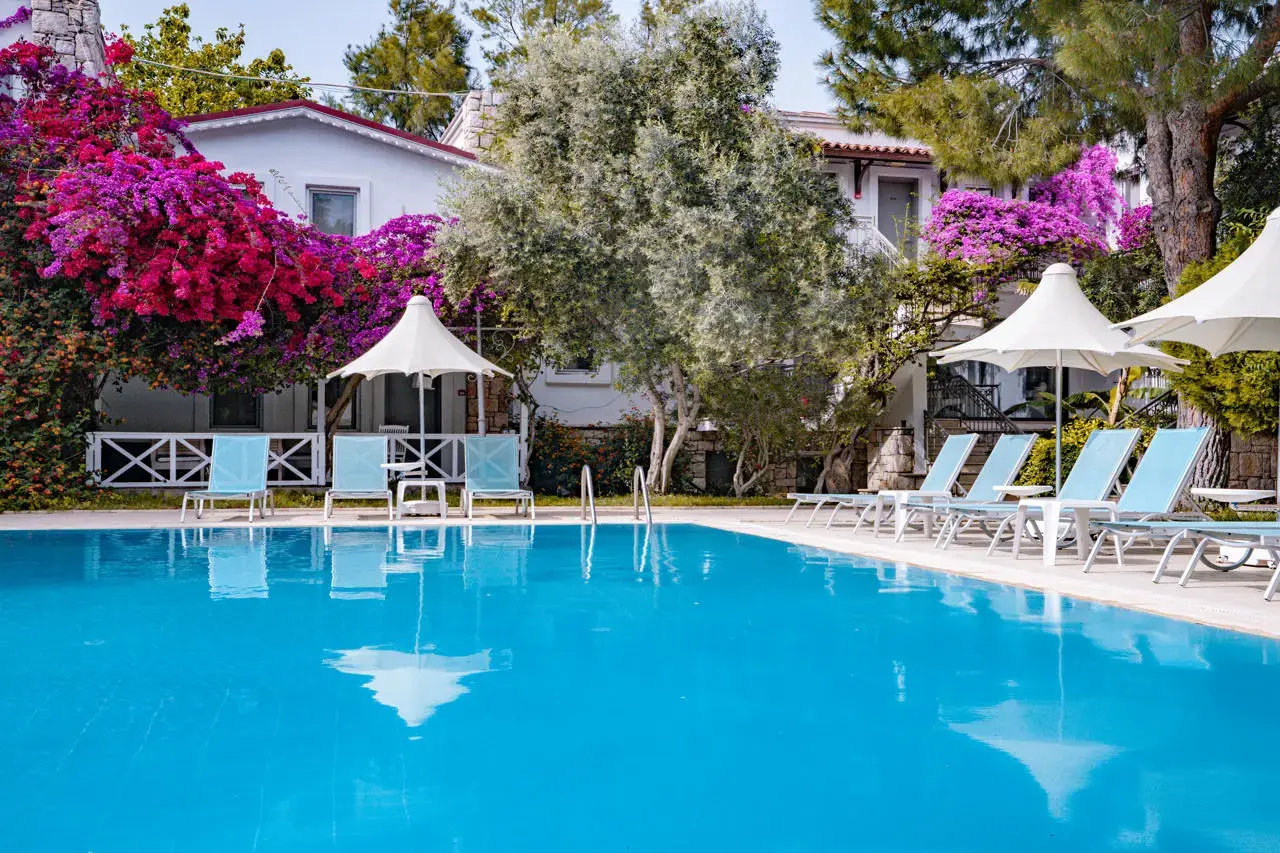 Photo - Moonshine Hotel & Suites