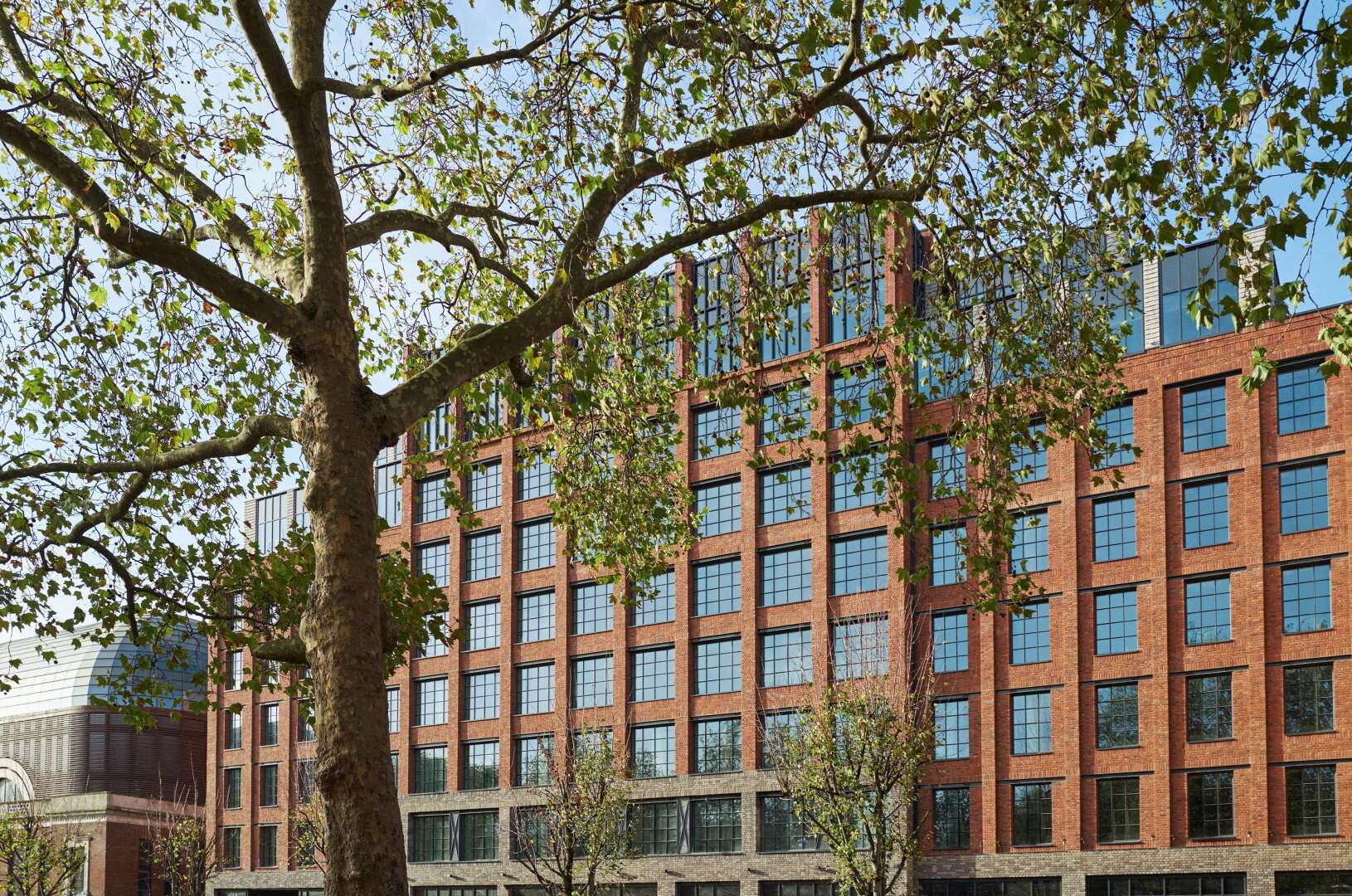 Photo - The Hoxton, Shepherds Bush