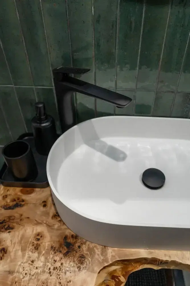 Foto - The Bear and Ween