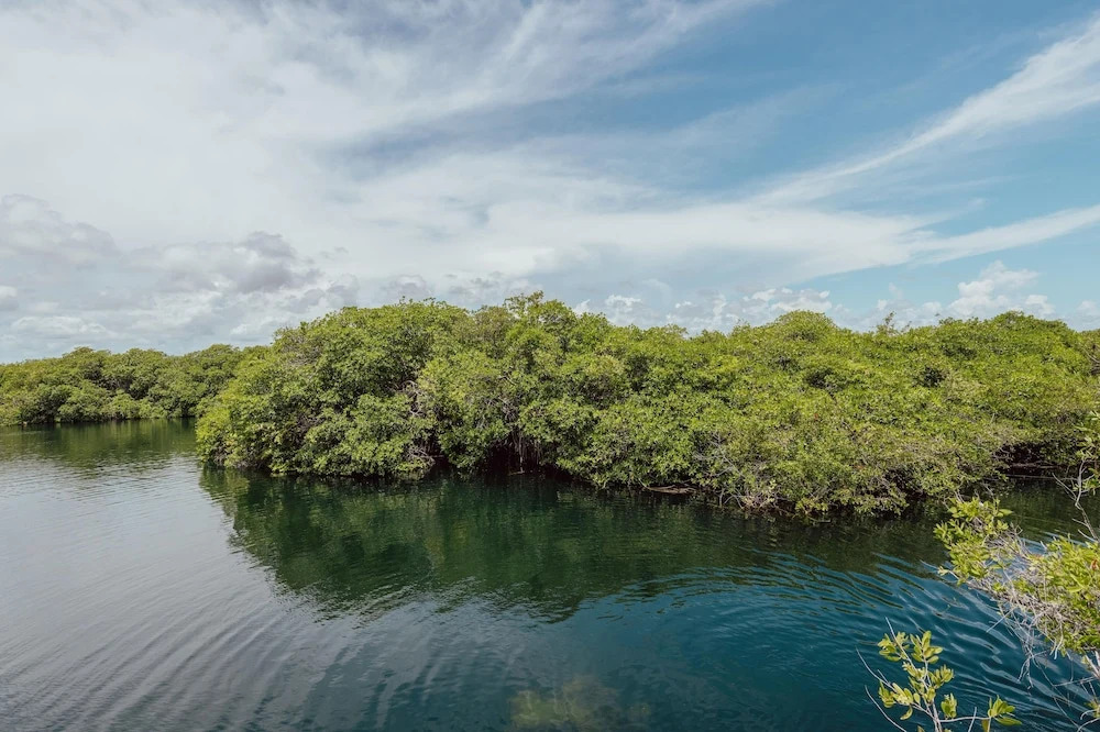 Photo - Yaxchen Tulum Cabañas & Cenote