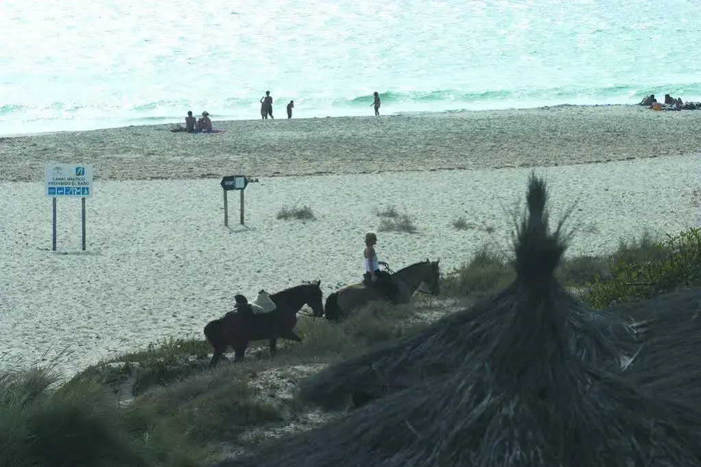 Foto - Beach Hotel Dos Mares