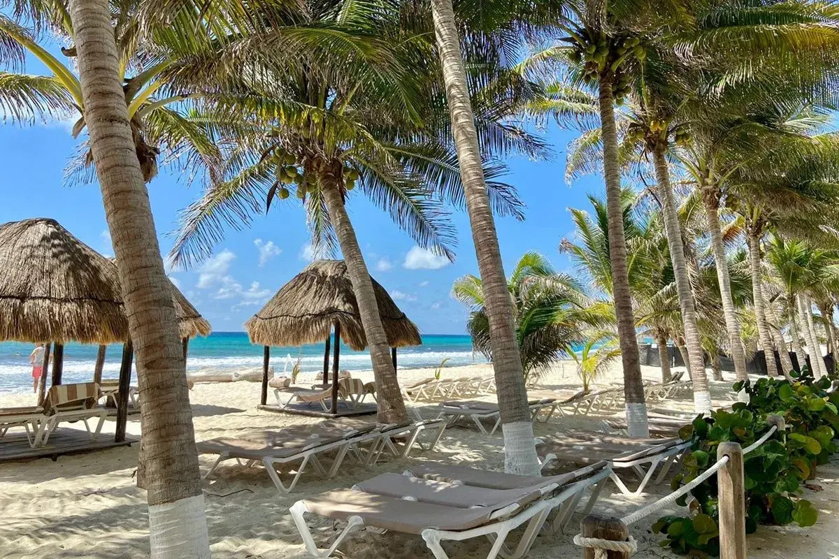 Photo - Hive Cancun by G Hotels
