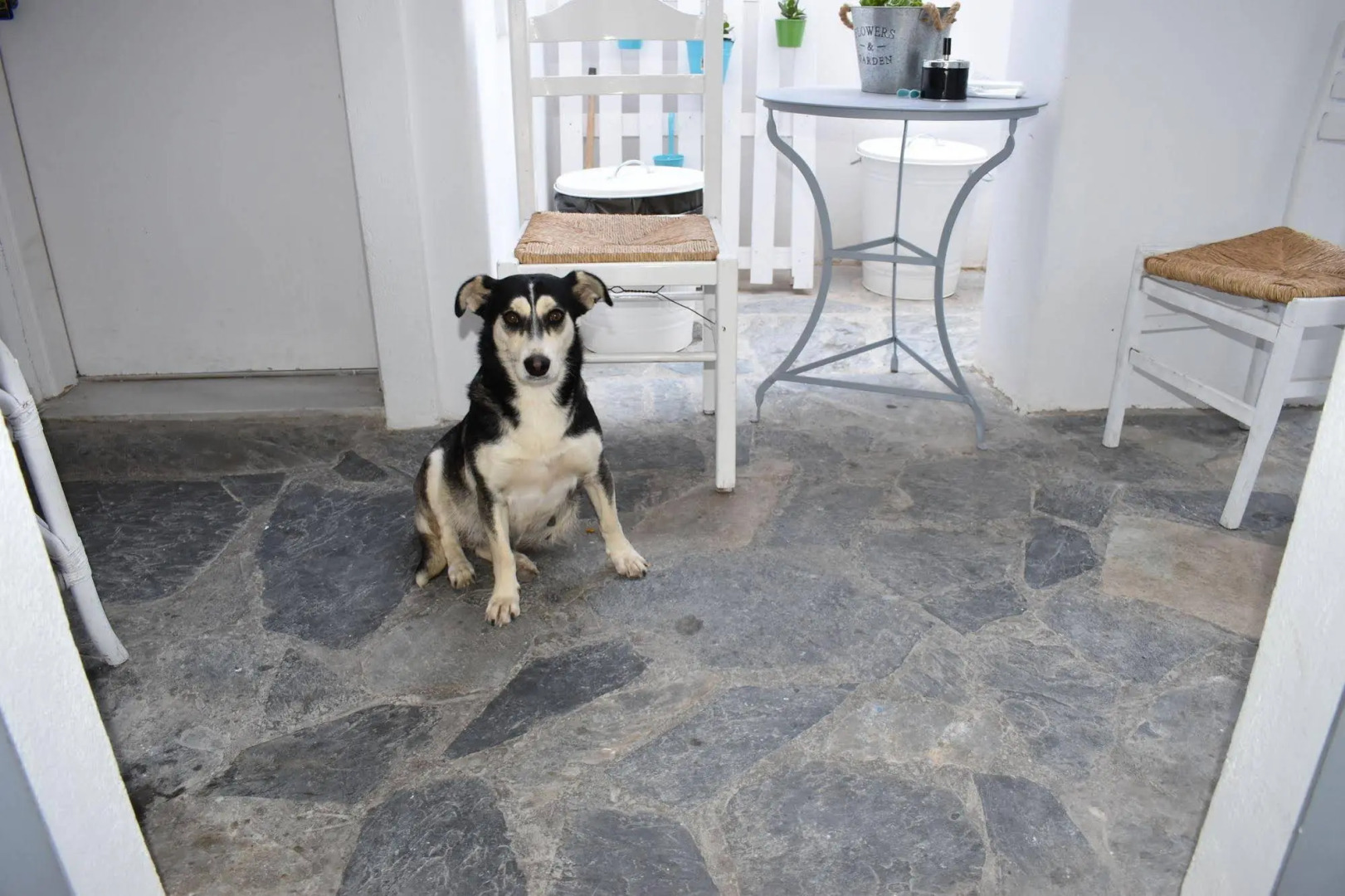 Foto - Zacharakis Studios