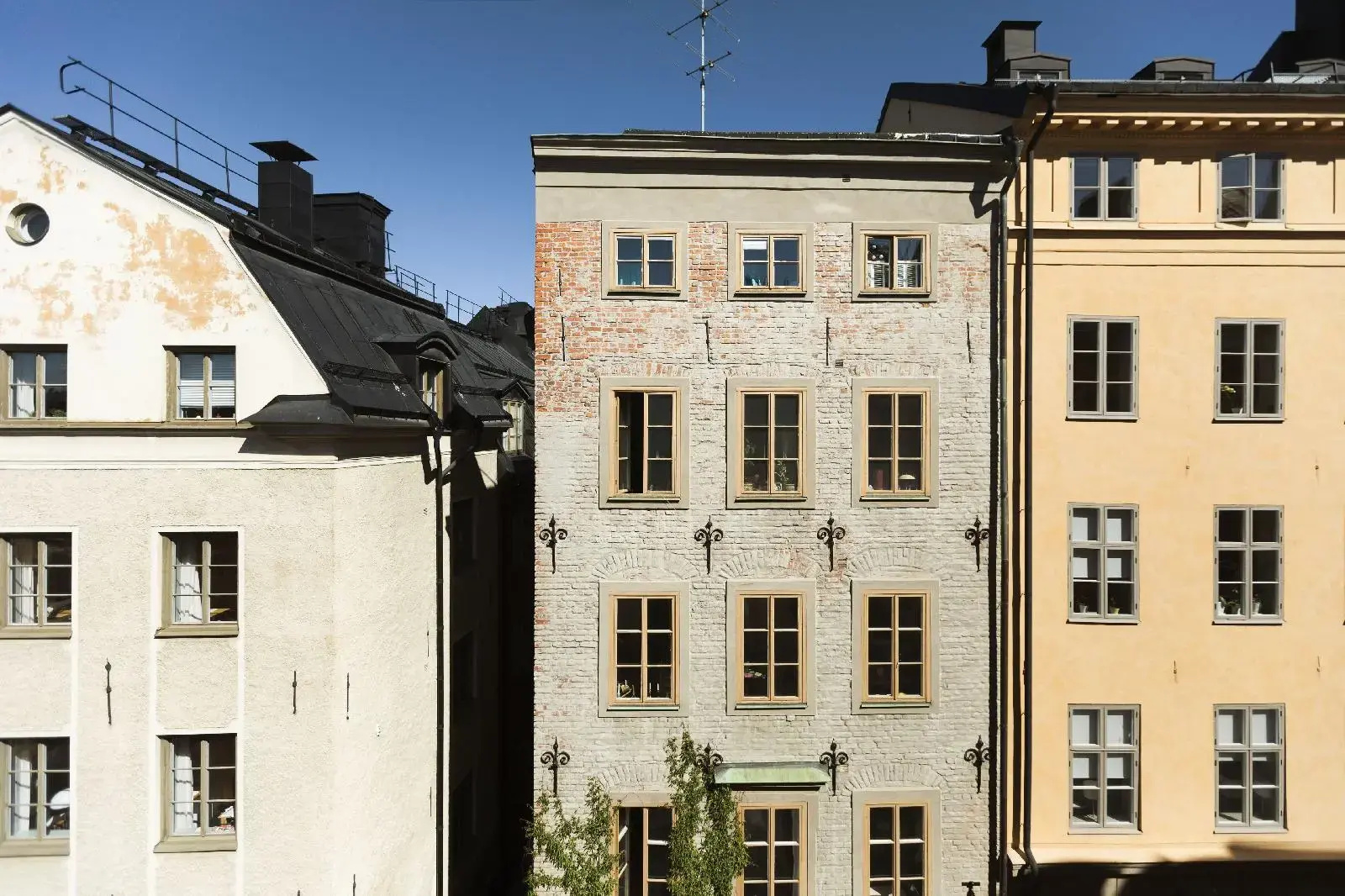 Foto - Lady Hamilton Hotel