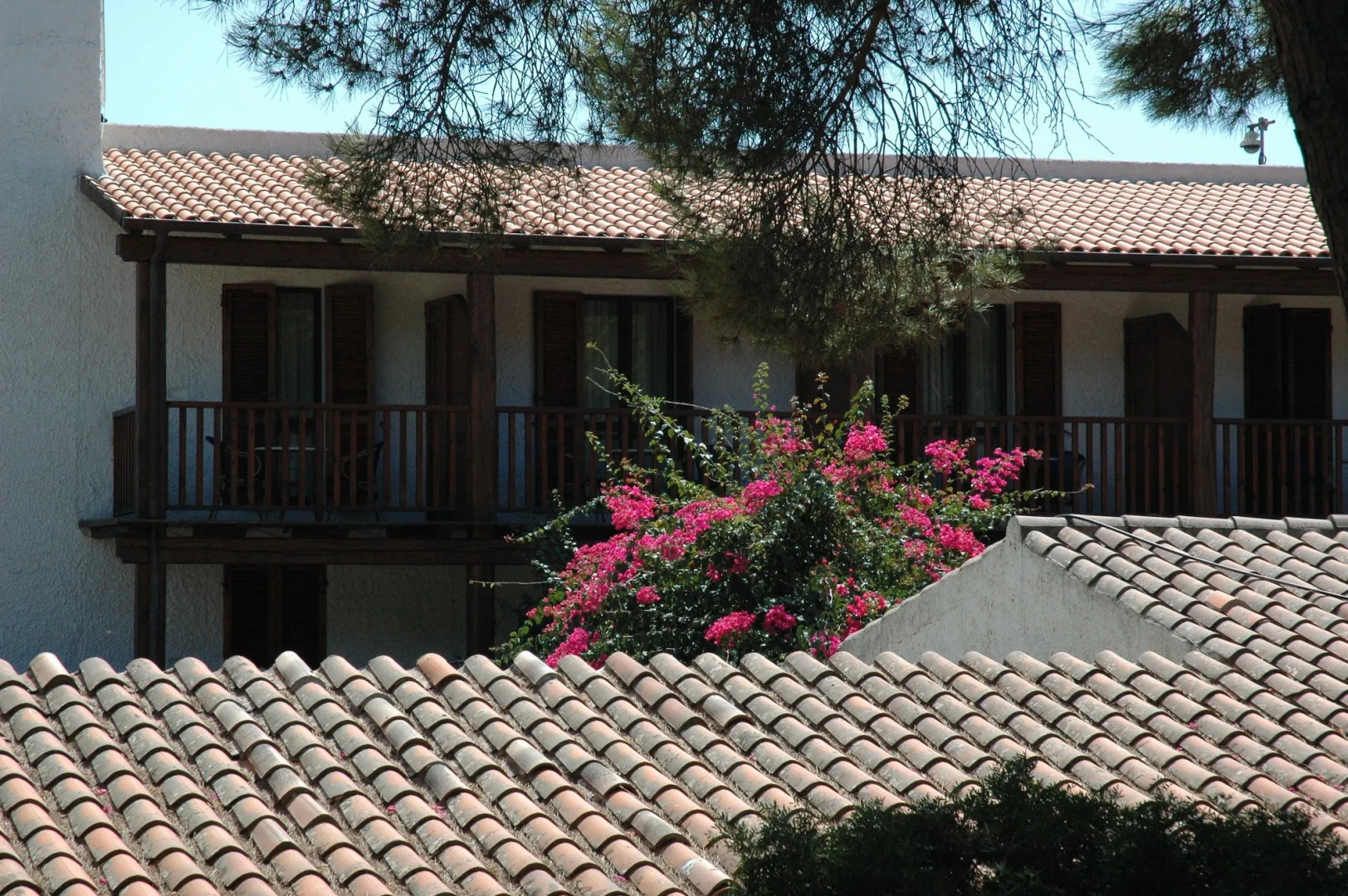 Foto - Hotel Punta Negra