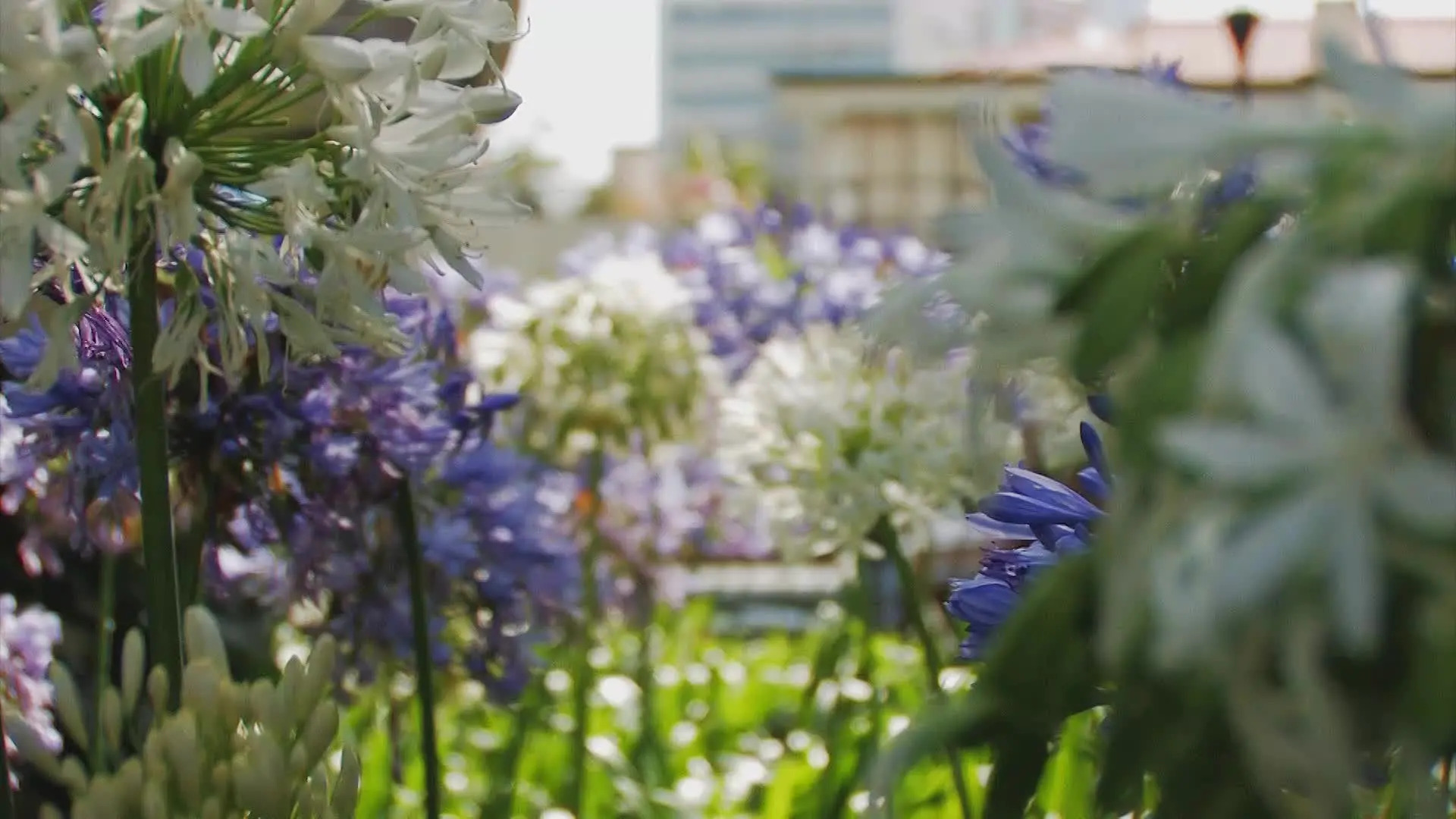 Photo - Pestana Casino Park Hotel & Casino