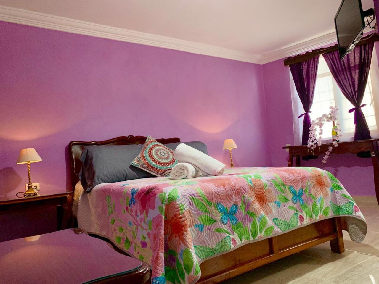Photo - Maggic Home Panoramica