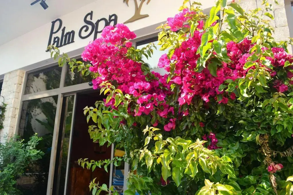 Foto - Flamingo Hotel & Spa - Pet Friendly