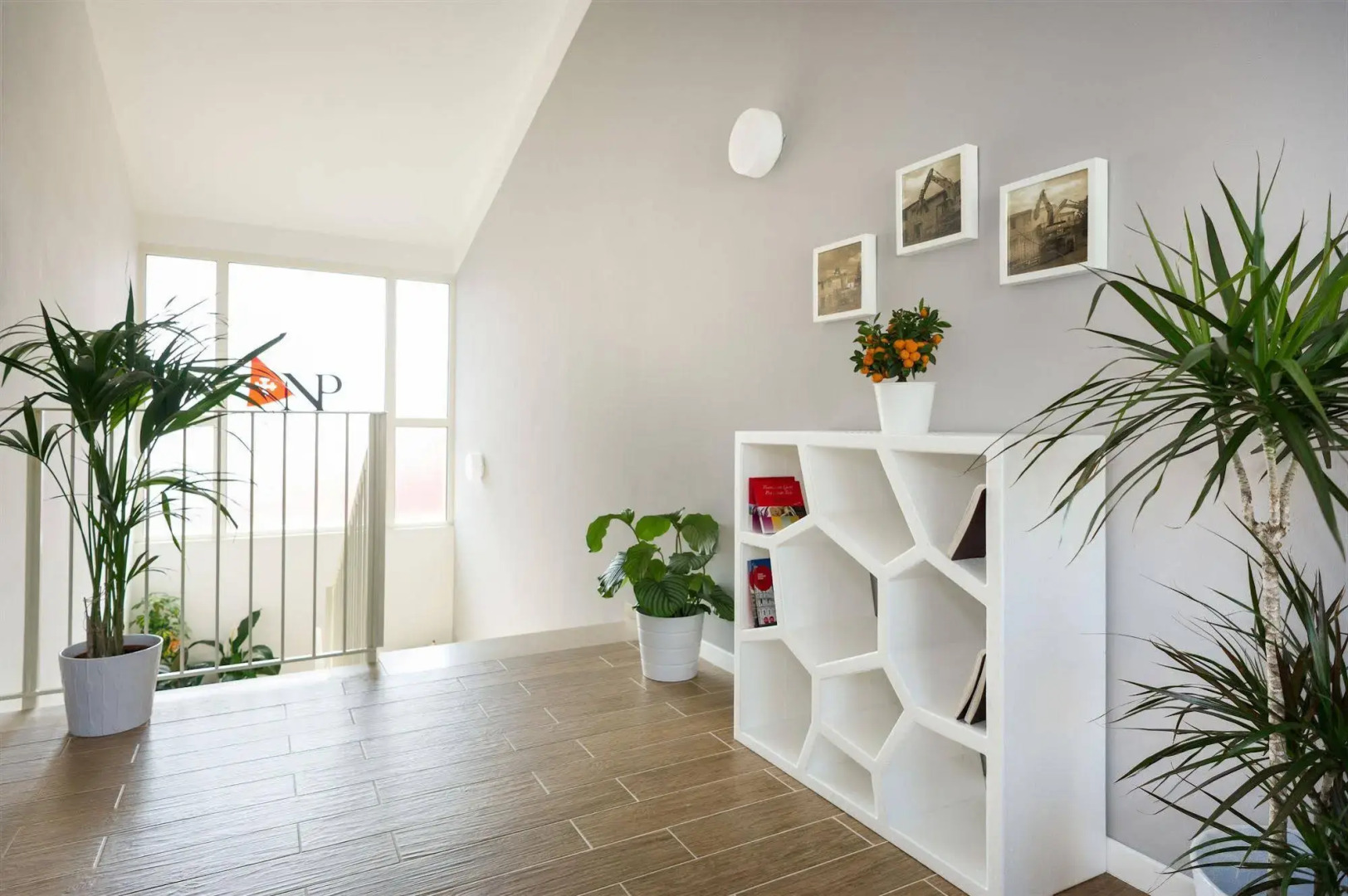 Photo - Vele Storiche Pisane - free private parking