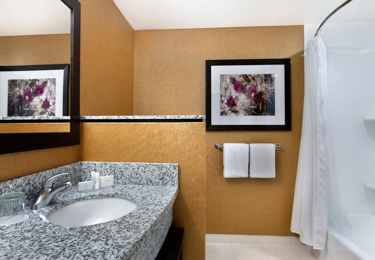 Photo - Courtyard by Marriott Scottsdale Salt River