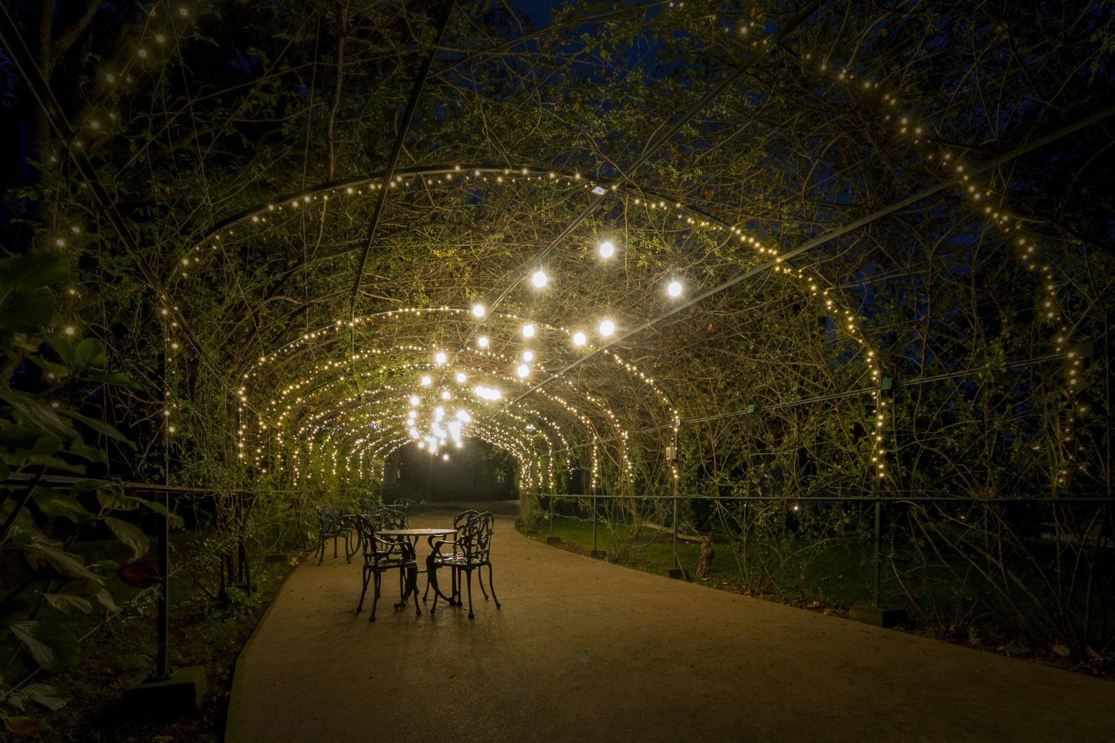 Foto - Boeira Garden Hotel Porto Gaia, Curio Collection by Hilton