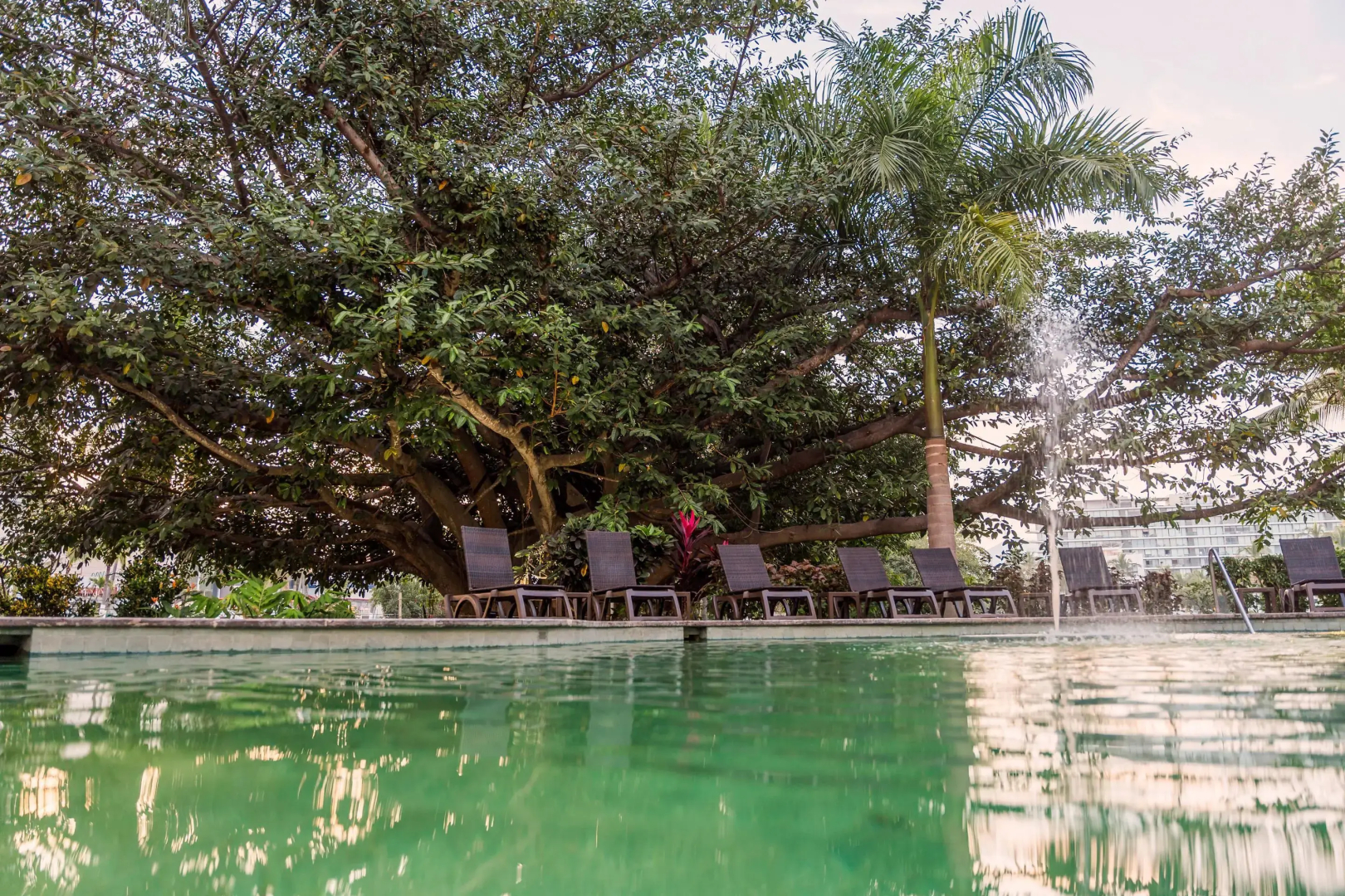 Foto - Comfort Inn Puerto Vallarta Golfside & Marina