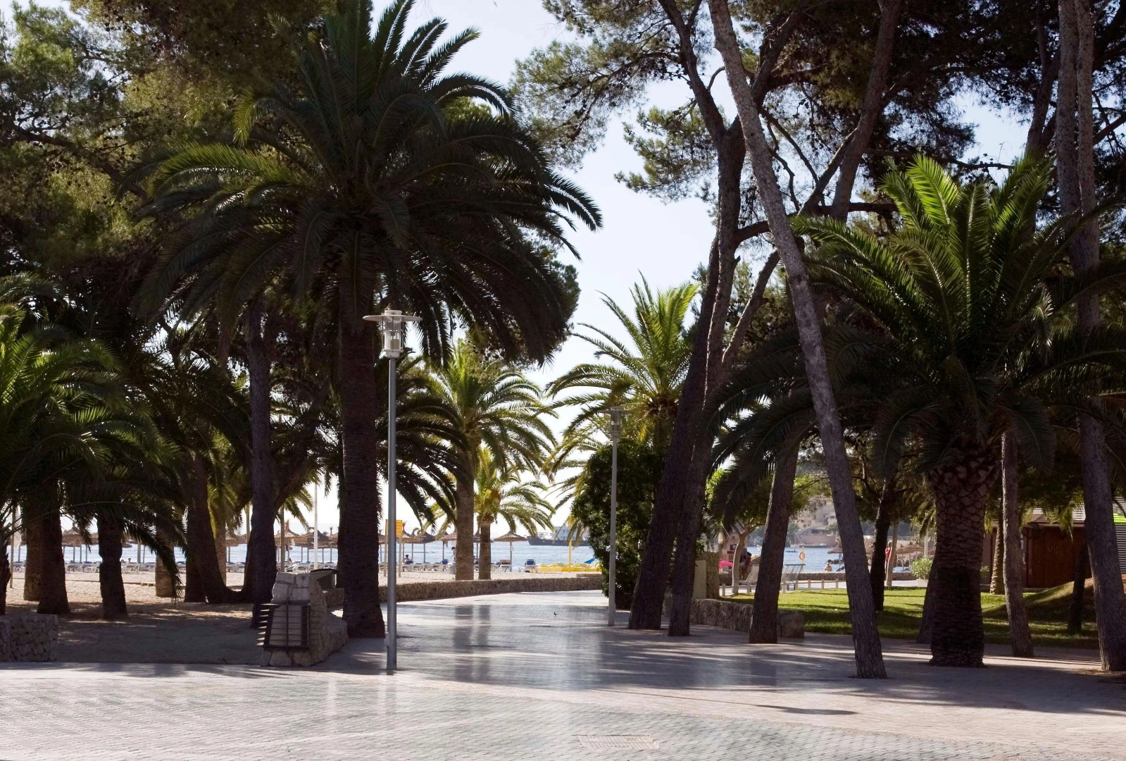 Foto - Globales Panamá - Adults Only