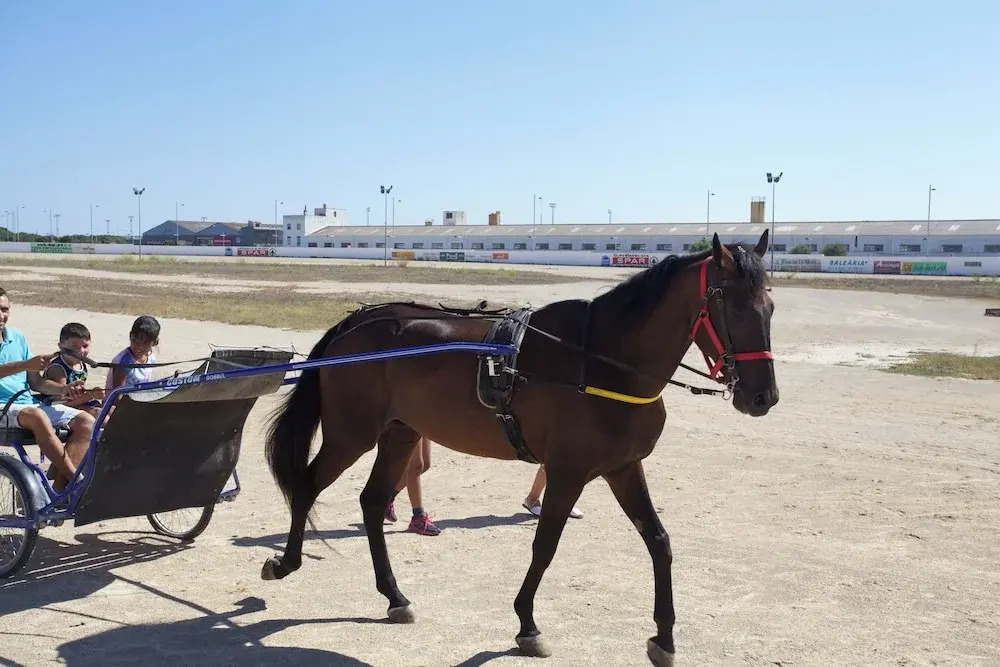 Photo - Starbal Villa