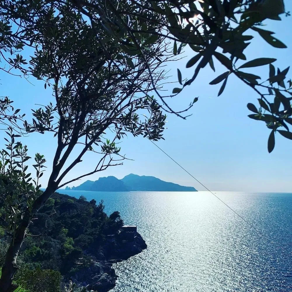 Foto - Parco Tasso Guest House