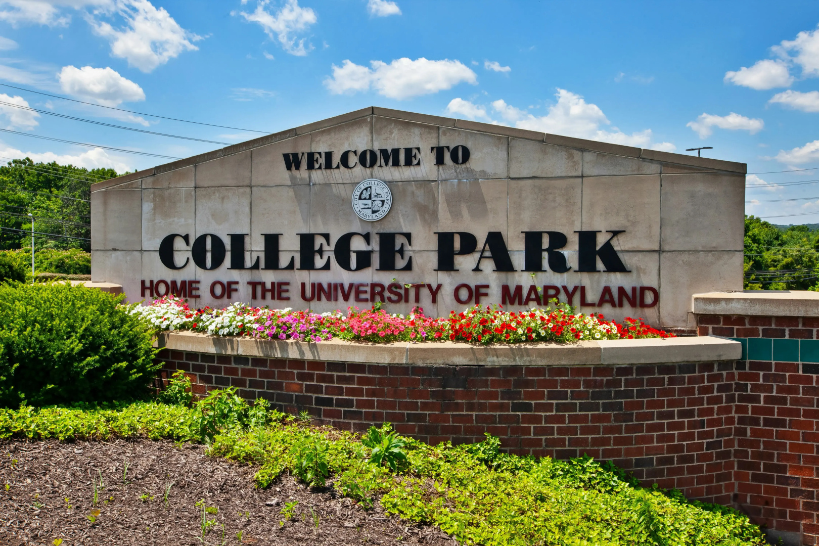 Foto - Hampton Inn College Park
