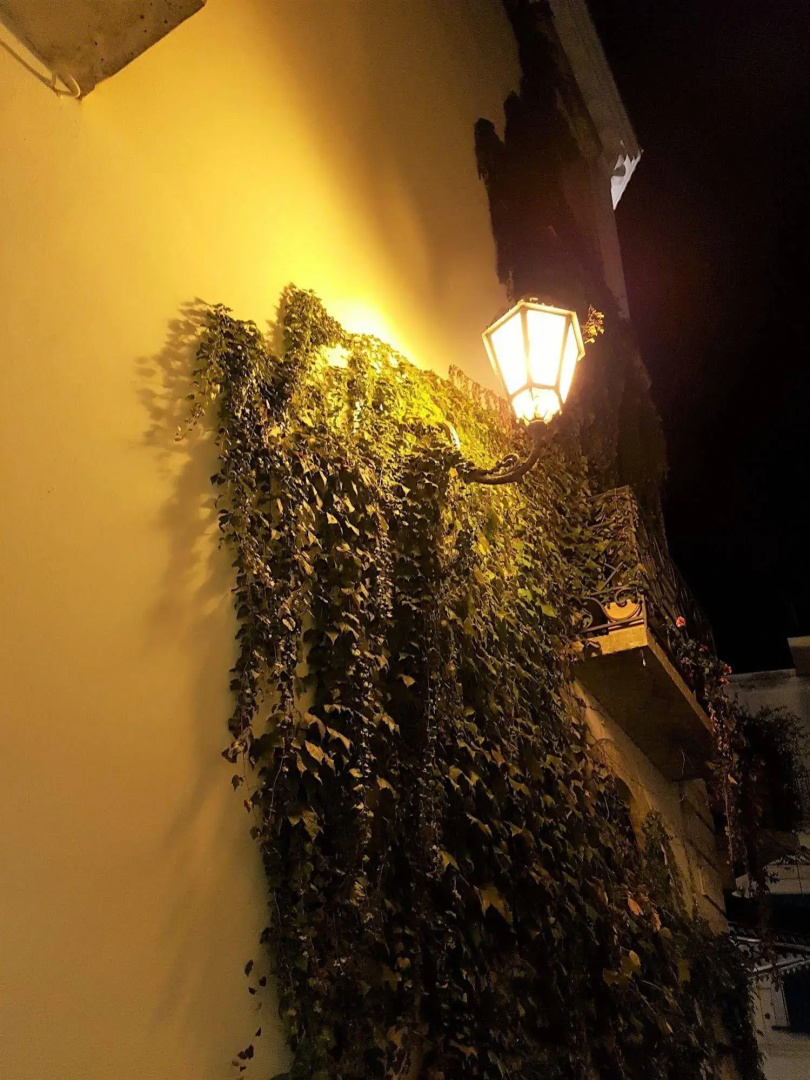 Foto - Hotel San Nicola